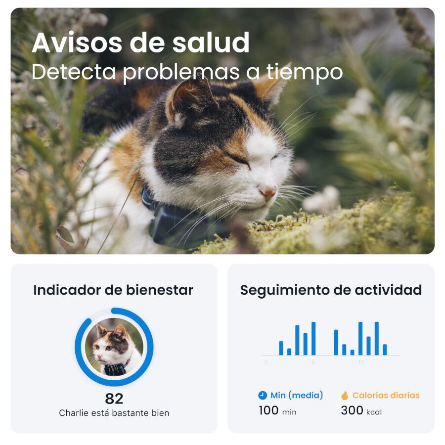 Tractive Localizador GPS para gatos, , large Imagen numero 7