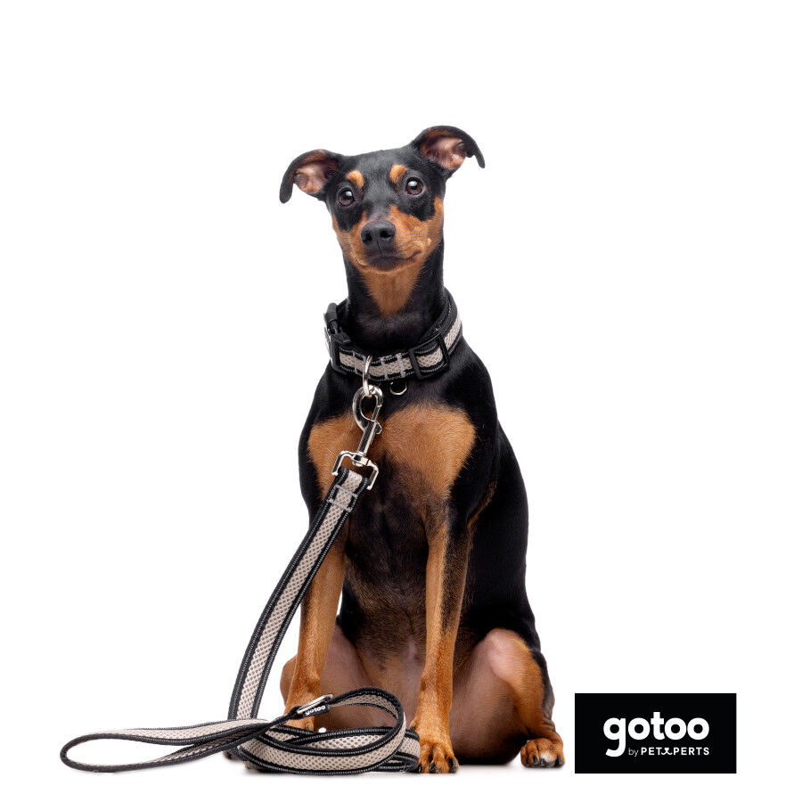 Gotoo Correa reflectante de malla gris para perro, , large Imagen numero 3