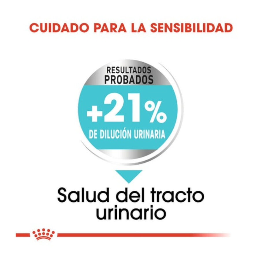 3 kg Royal Canin Urinary Care Mini pienso para perros, , large indicador imagen numero 4