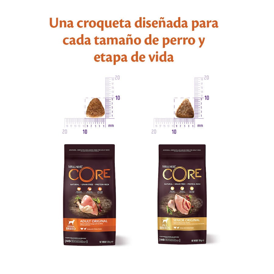 10 kg Wellness Core Adult Medium Original Pavo y Pollo pienso para perros, , large Imagen numero 3