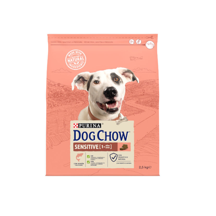 2.5 kg Dog Chow Sensitive Salm&oacute;n pienso para perros, , large Imagen numero 1