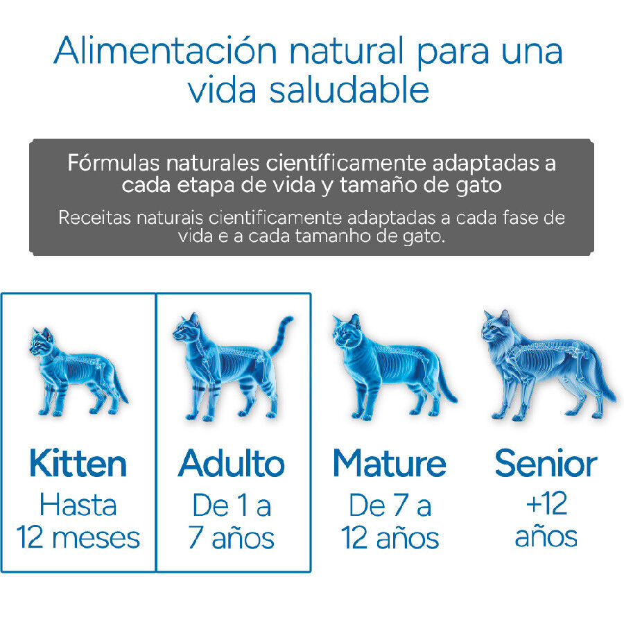 2 kg Criadores Cient&iacute;fico Mother & Baby Cat pollo pienso para gatos, , large indicador imagen numero 12