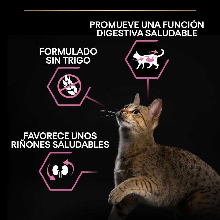 1.5 kg Pro Plan Adult Delicate Digestion Adult pavo pienso para gatos, , large indicador imagen numero 3