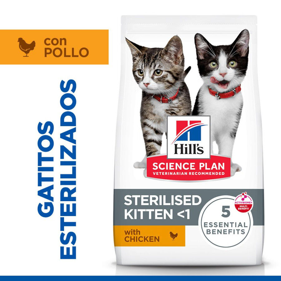 3 kg Hill's Science Plan Sterilised Kitten Pollo pienso para gatos, , large Imagen numero 2