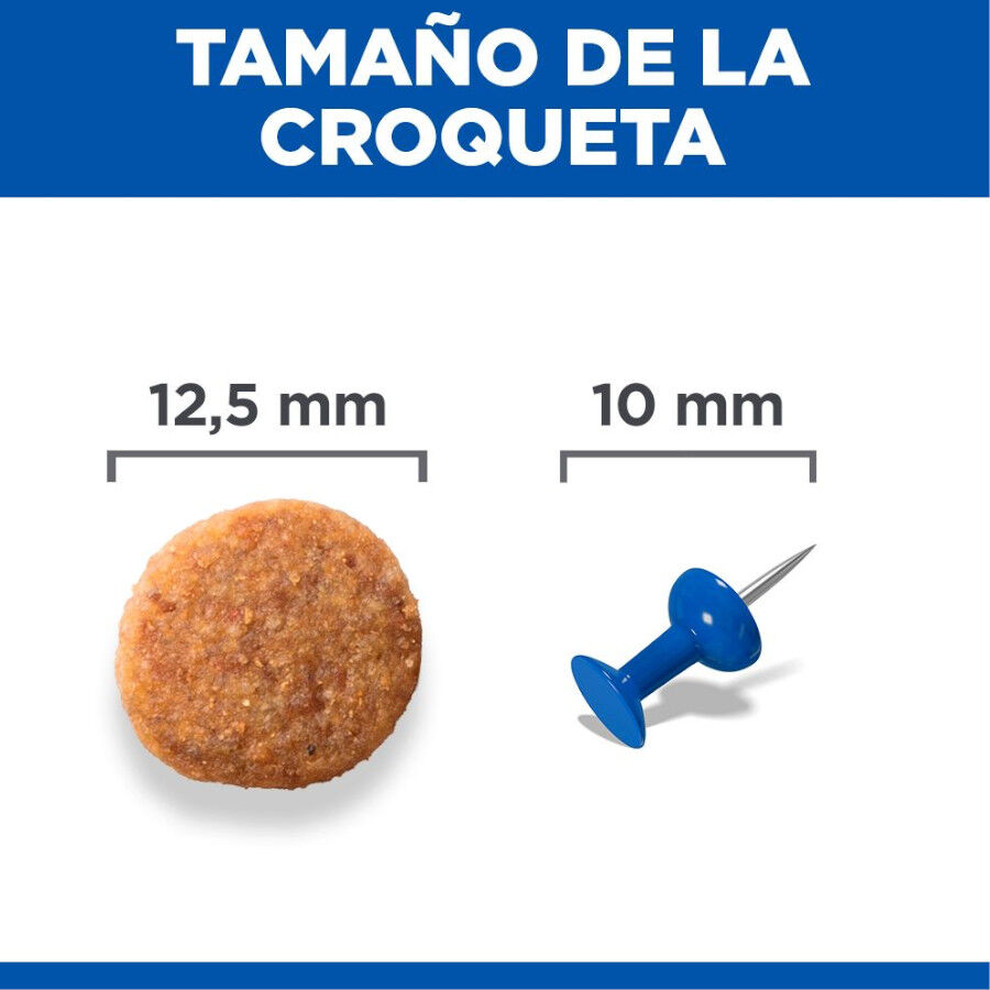 14 kg Hill's Science Plan Youthful Vitality Medium Adult Pollo&nbsp;pienso para perros, , large indicador imagen numero 4