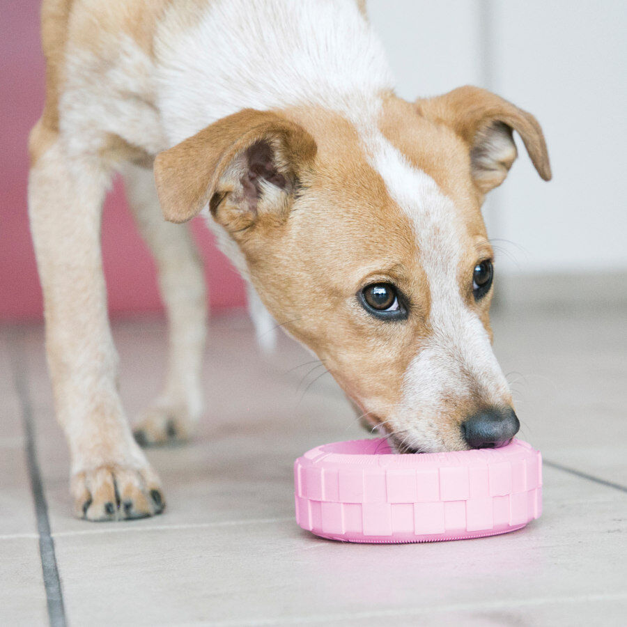 Kong Puppy Tire juguete para perros, , large Imagen numero 2
