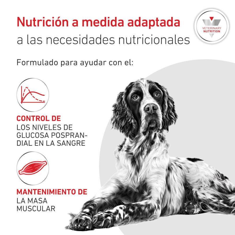 195 g Royal Canin Veterinary Diabetic latas para perros, , large indicador imagen numero 3
