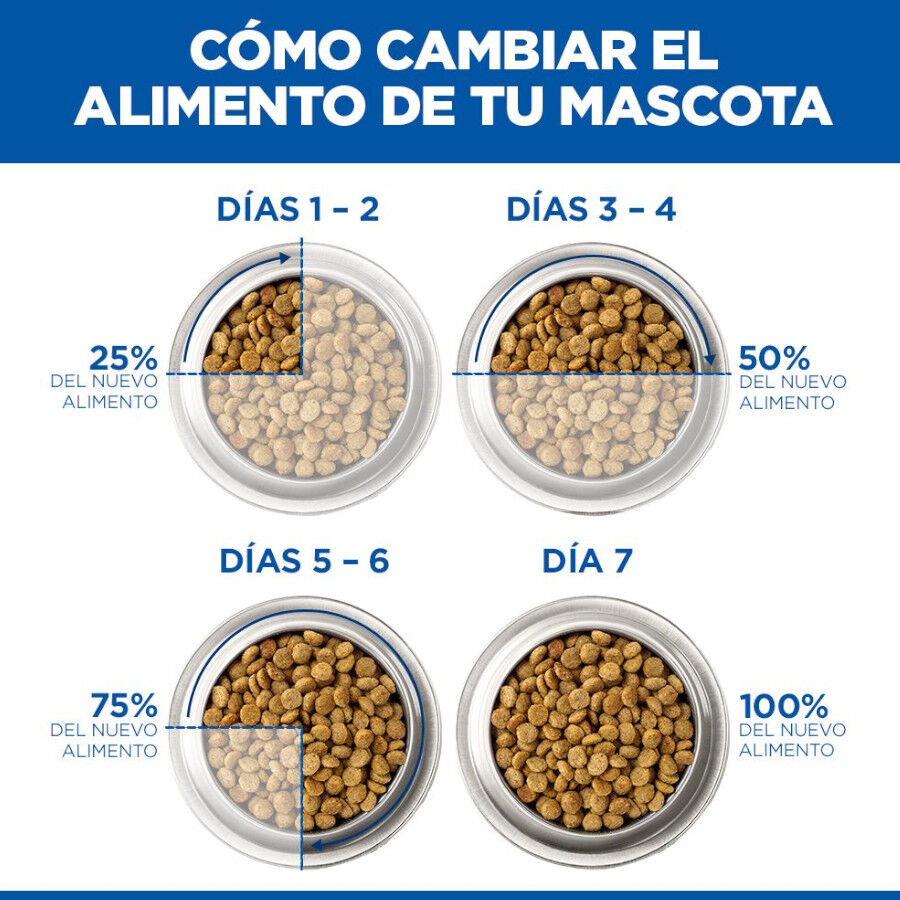 12 kg Hill's Science Plan Perfect Weight Adult Large Pollo pienso para perros, , large Imagen numero 4