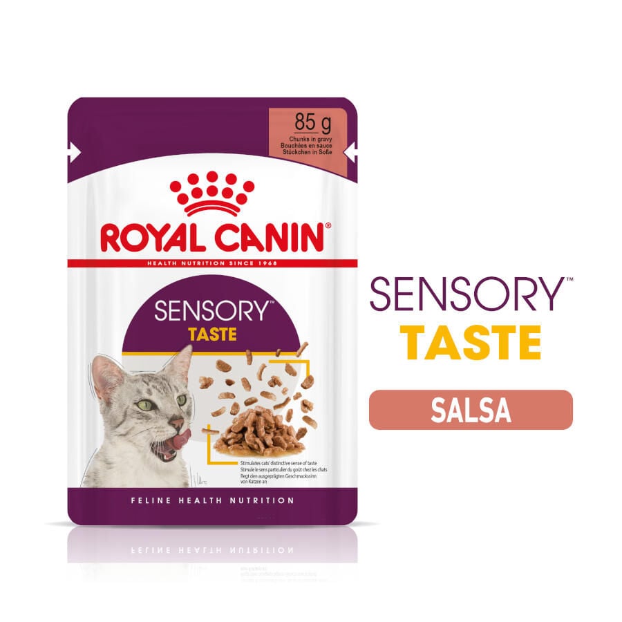 85 g Royal Canin Adult Sensory Taste salsa sobre para gatos, , large Imagen numero 1