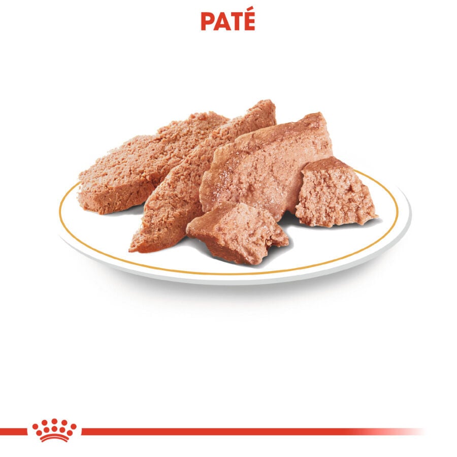 85 g Royal Canin Adult Poodle Pat&eacute; sobre para perros, , large Imagen numero 2