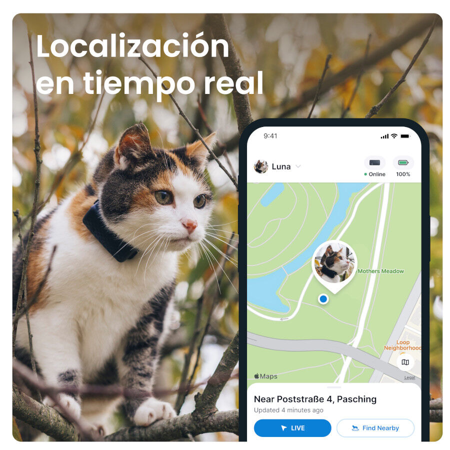 Tractive Localizador GPS para gatos, , large Imagen numero 6
