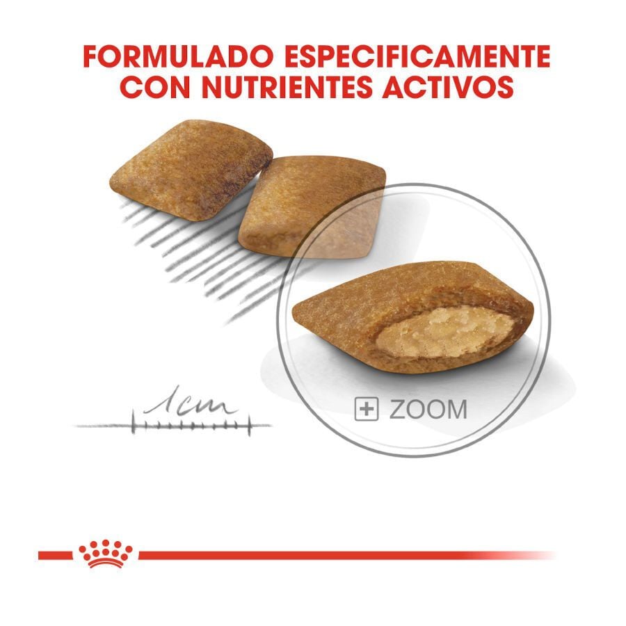 3 kg Royal Canin Exigent Mini pienso para perros, , large indicador imagen numero 4