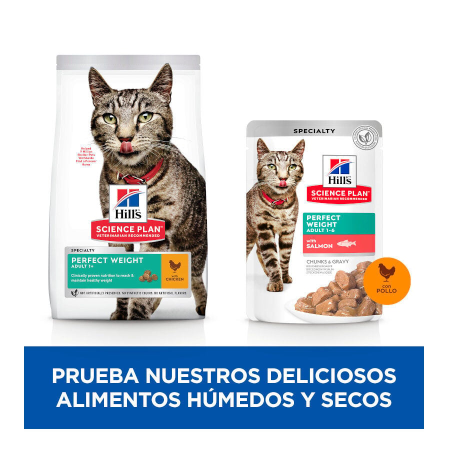 12 sobres x 85 g Hill's Perfect Weight Salm&oacute;n y Pollo sobre para gatos  12, , large Imagen numero 7