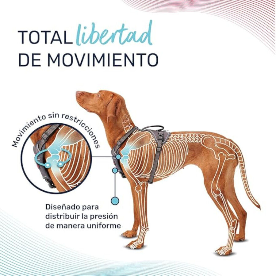 Halti arn&eacute;s anat&oacute;mico con asa verde para perros, , large Imagen numero 2