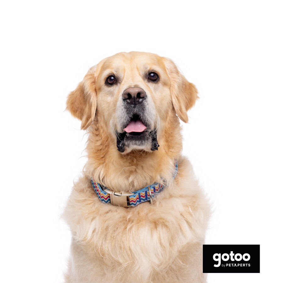 Gotoo Collar estampado rayas zig-zag para perros, , large indicador imagen numero 3