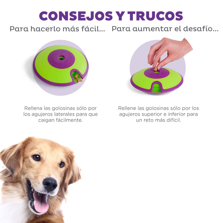 Outward Hound Treat Maze Disco Interactivo para perros, , large indicador imagen numero 4