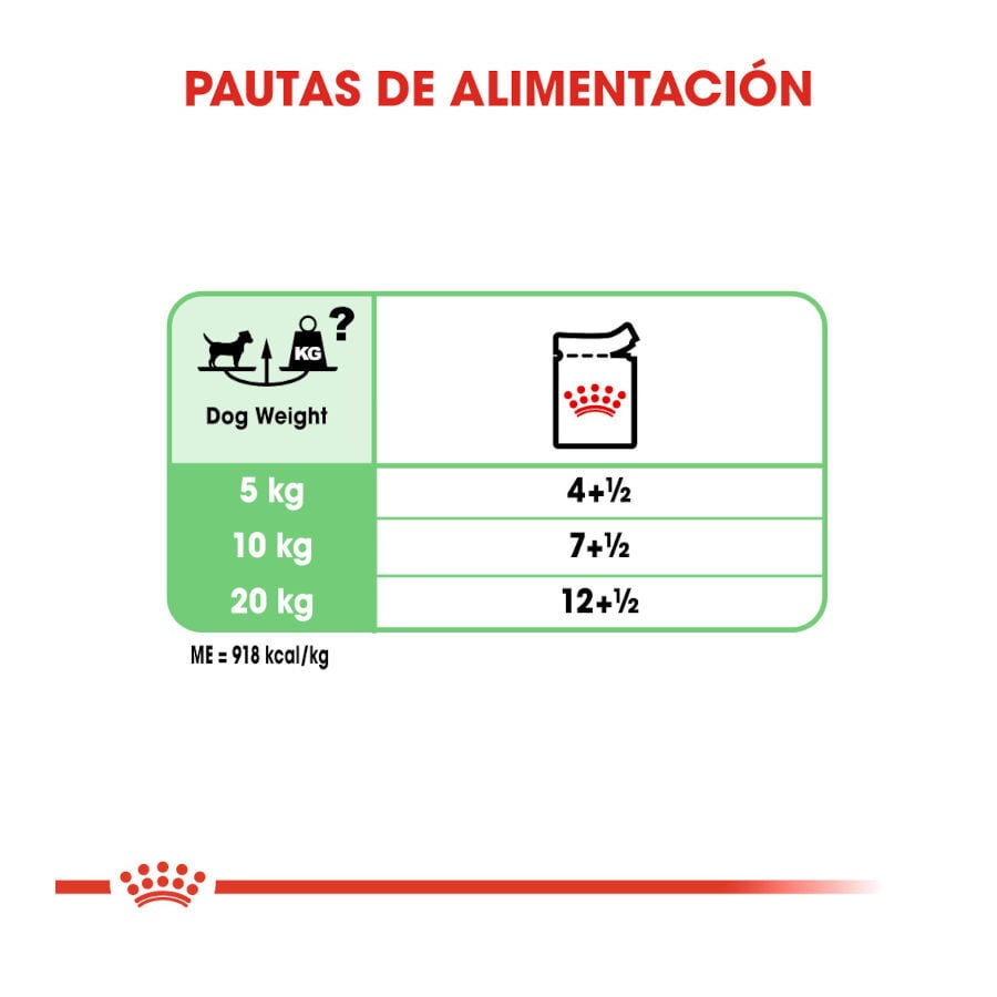 85 g Royal Canin Digestive Care Pat&eacute; sobres para perros, , large indicador imagen numero 7