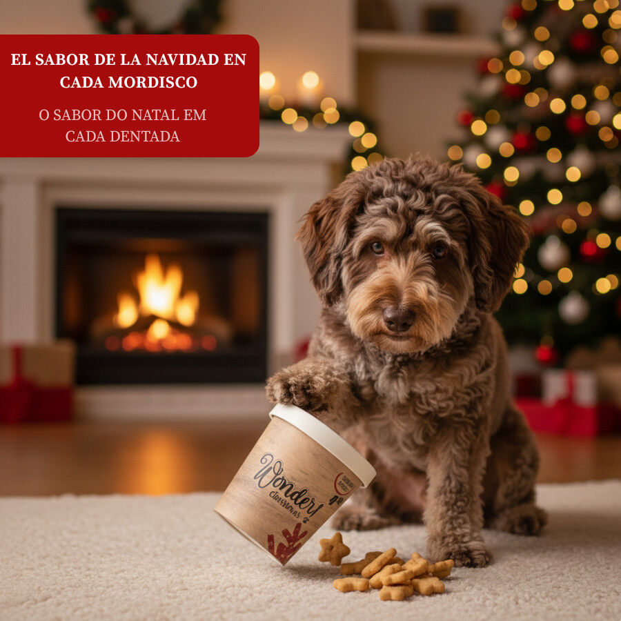 248 g Wonder Christmas Mini Galletas Navide&ntilde;as para perros, , large Imagen numero 4