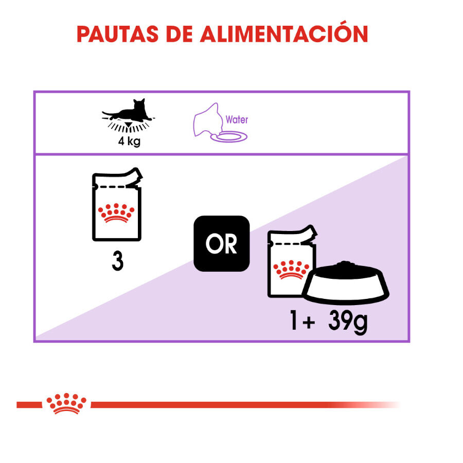 85 g Royal Canin Sterilised Pat&eacute; sobre para gatos, , large Imagen numero 6