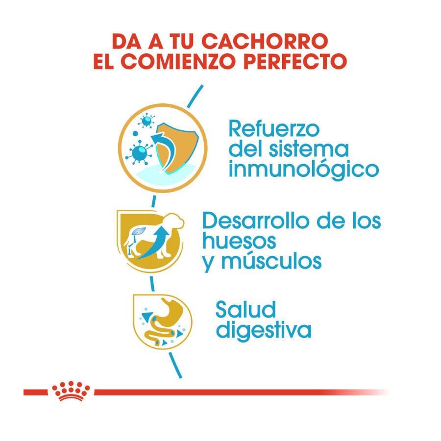 12 kg Royal Canin Puppy Rottweiler pienso para perros , , large indicador imagen numero 5