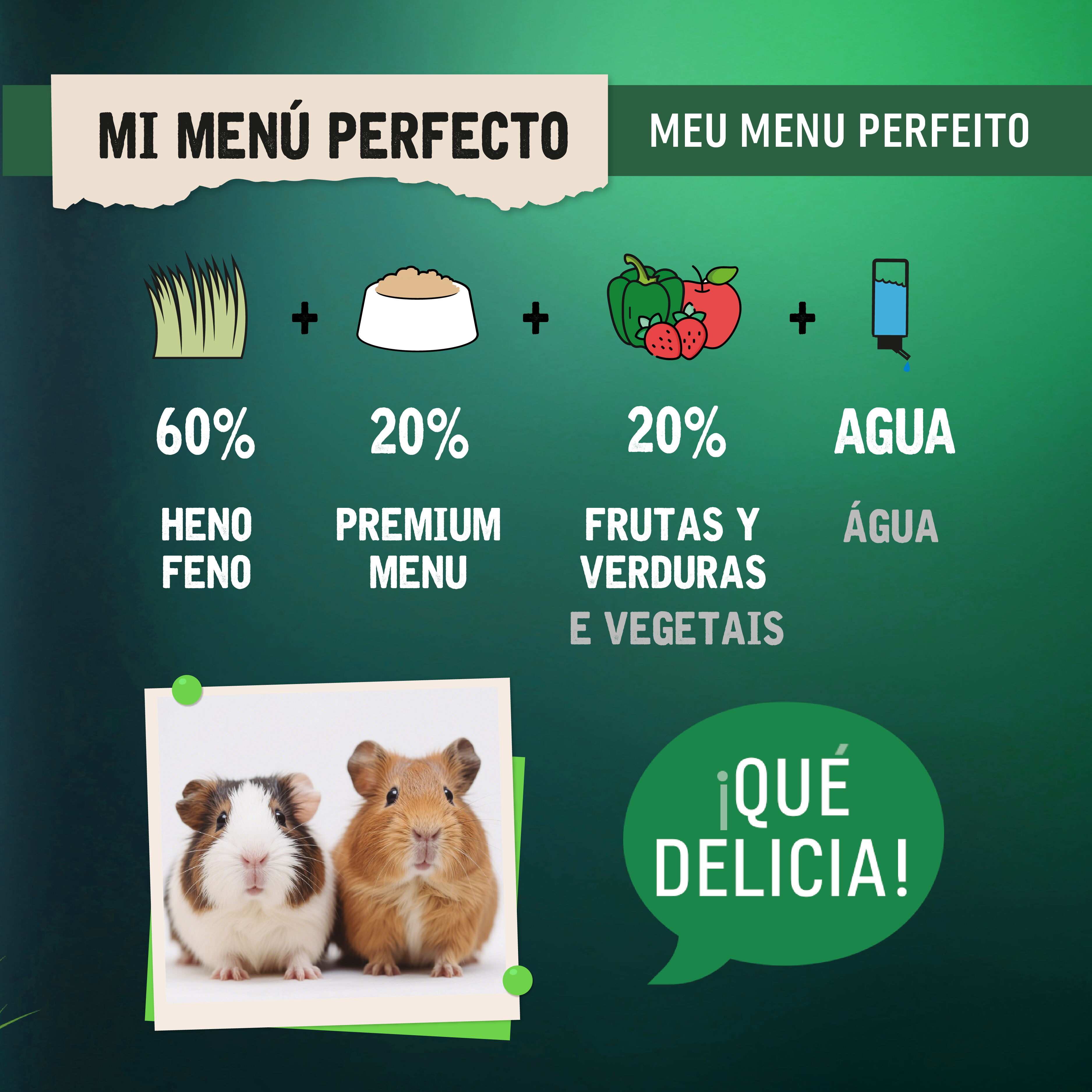 4 kg Small Life Selection Premium Men&uacute; Pienso para cobaya, , large Imagen numero 5