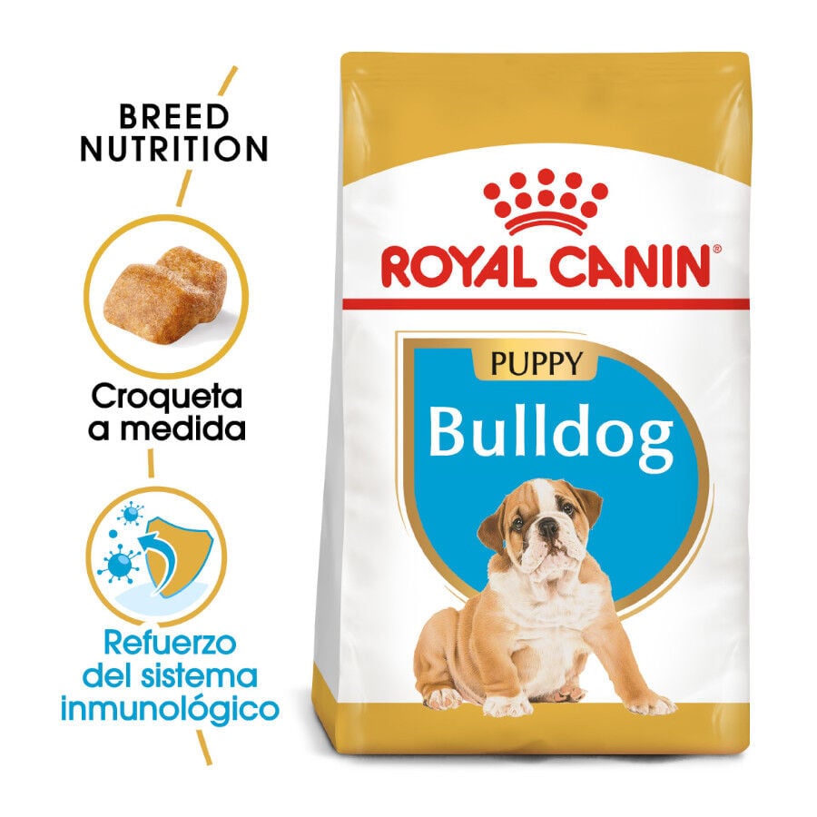 12 kg Royal Canin Puppy Bulldog pienso para perros, , large indicador imagen numero 1
