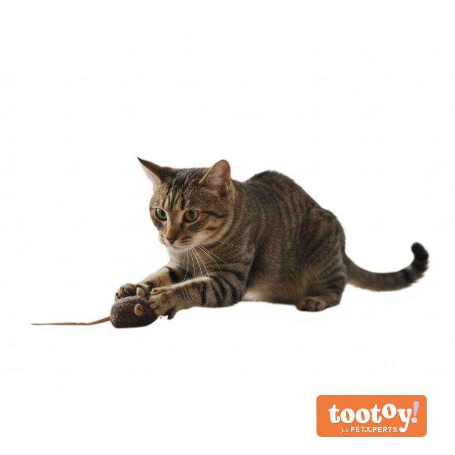 Tootoy! Rat&oacute;n de Juguete con Sonido para gatos, , large indicador imagen numero 9