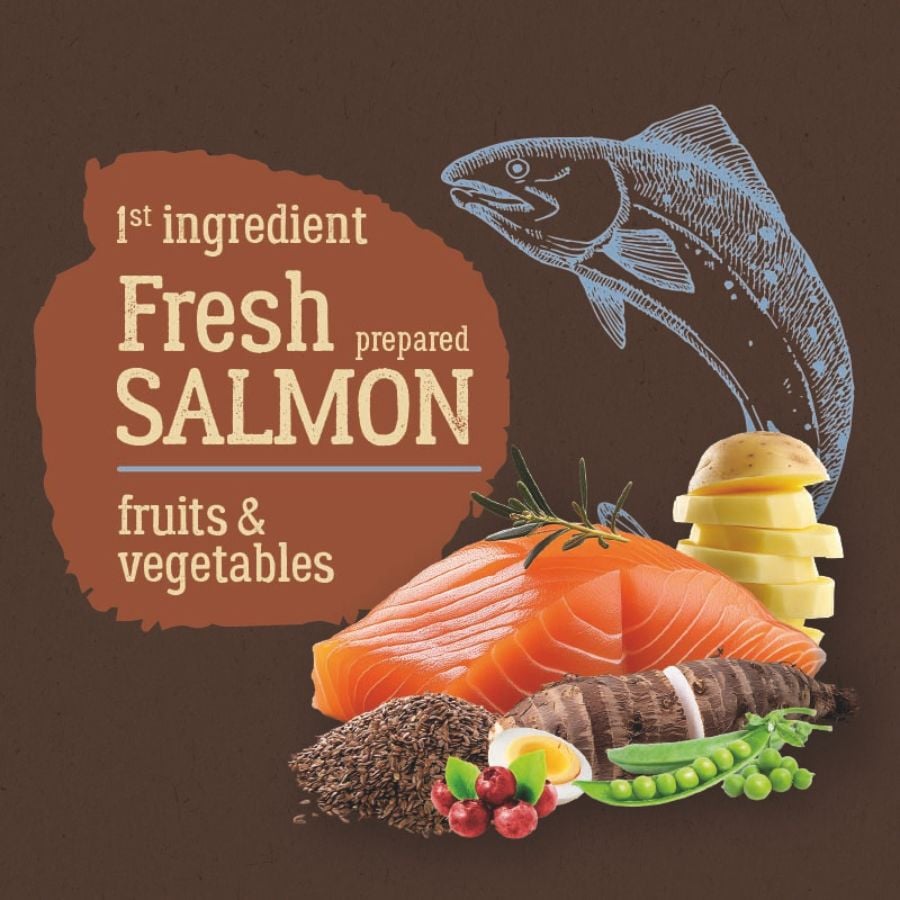 2 kg True Origins Pure Kitten No Grain Free Salm&oacute;n pienso para gatos&nbsp;, , large indicador imagen numero 3