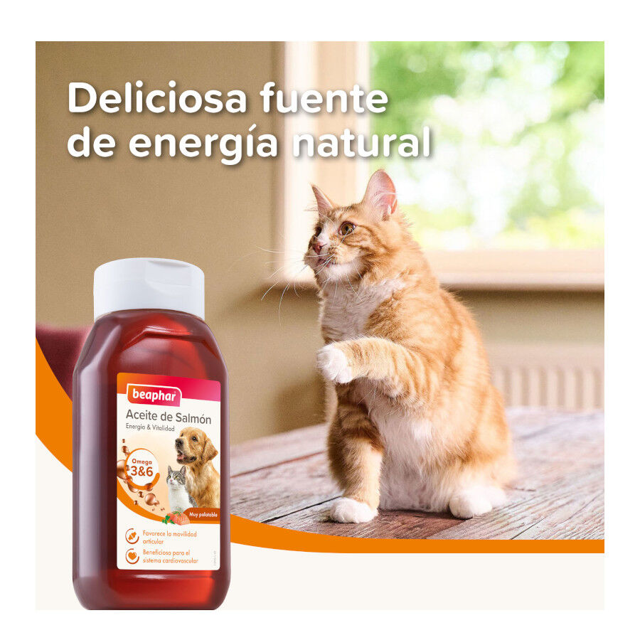 425 ml Beaphar Aceite de Salm&oacute;n para perros y gatos, , large Imagen numero 4