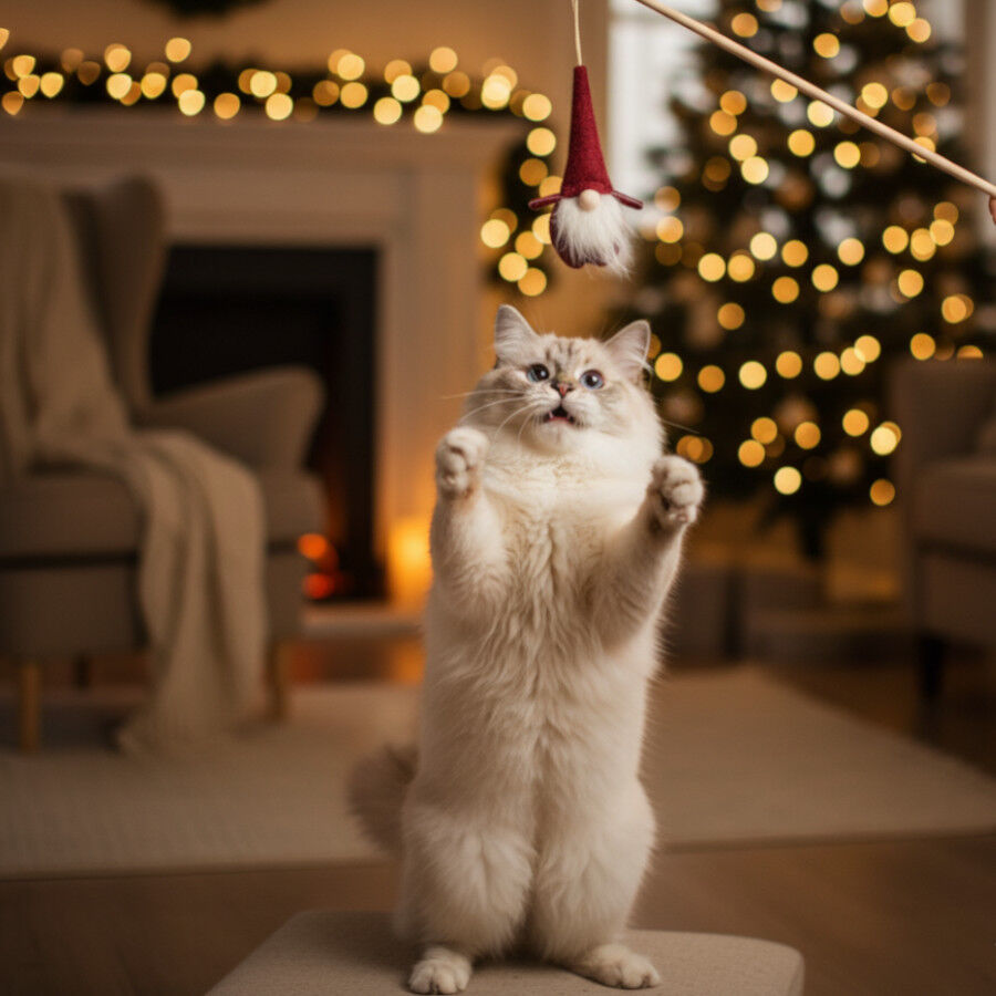 Wonder Christmas Juguete de Ca&ntilde;a Santa Navide&ntilde;o para gatos, , large indicador imagen numero 3