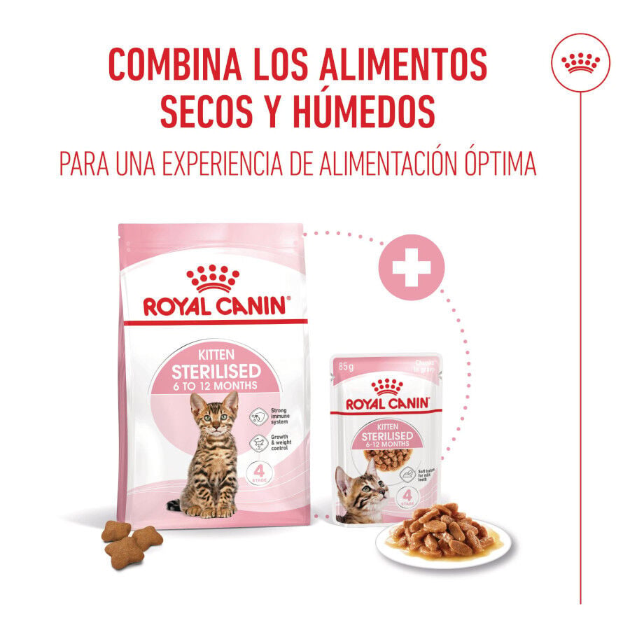85 g Royal Canin Kitten Sterilised salsa sobre para gatos, , large Imagen numero 5