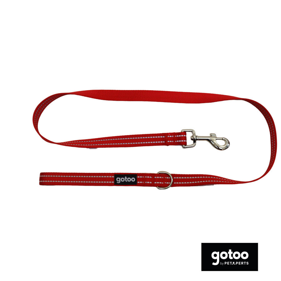 Gotoo Correa de nylon roja reflectante para perros, , large Imagen numero 2