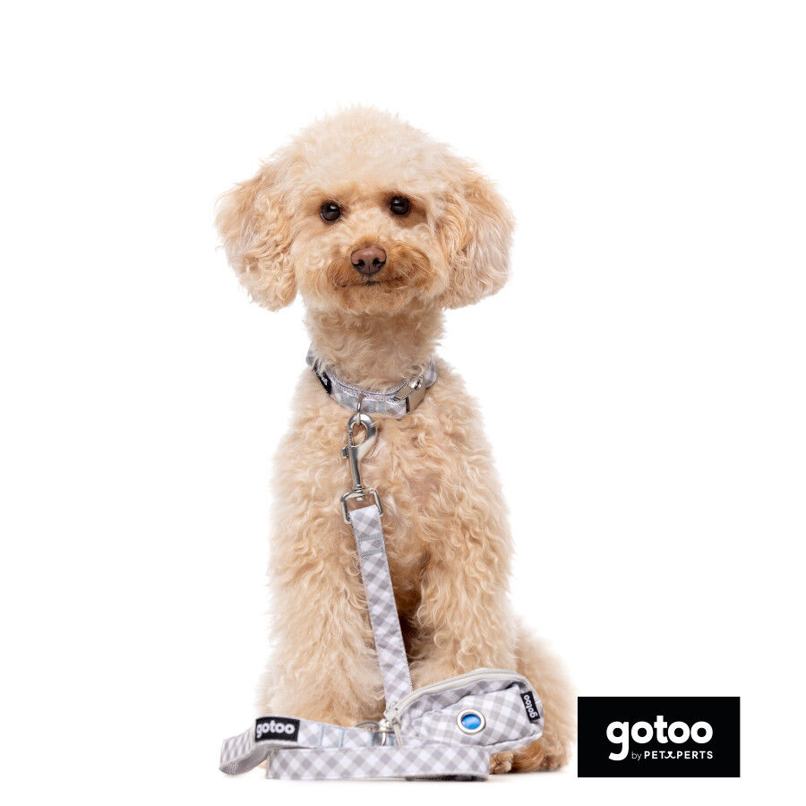 Gotoo Collar estampado cuadro vichy gris para perros, , large Imagen numero 5