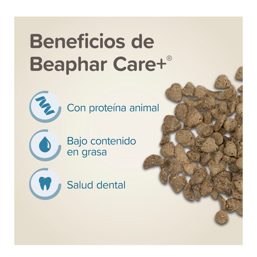 Beaphar Care+ Pienso para ratones y jerbos, , large indicador imagen numero 3
