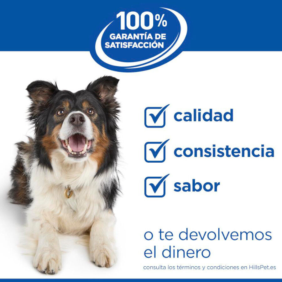 12 kg Hill's Science Plan Light Mature Adult 7+ Medium Pollo pienso para perros, , large indicador imagen numero 10