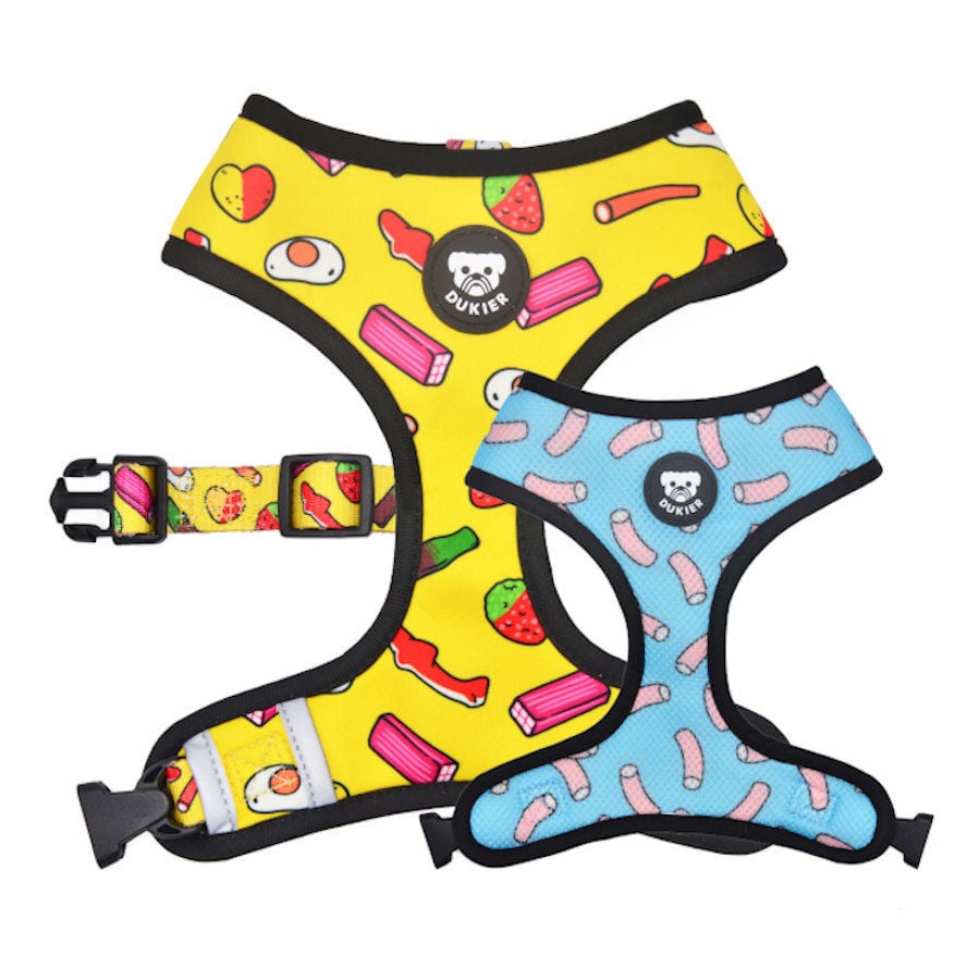 Dukier Sweets Arn&eacute;s reversible para perros