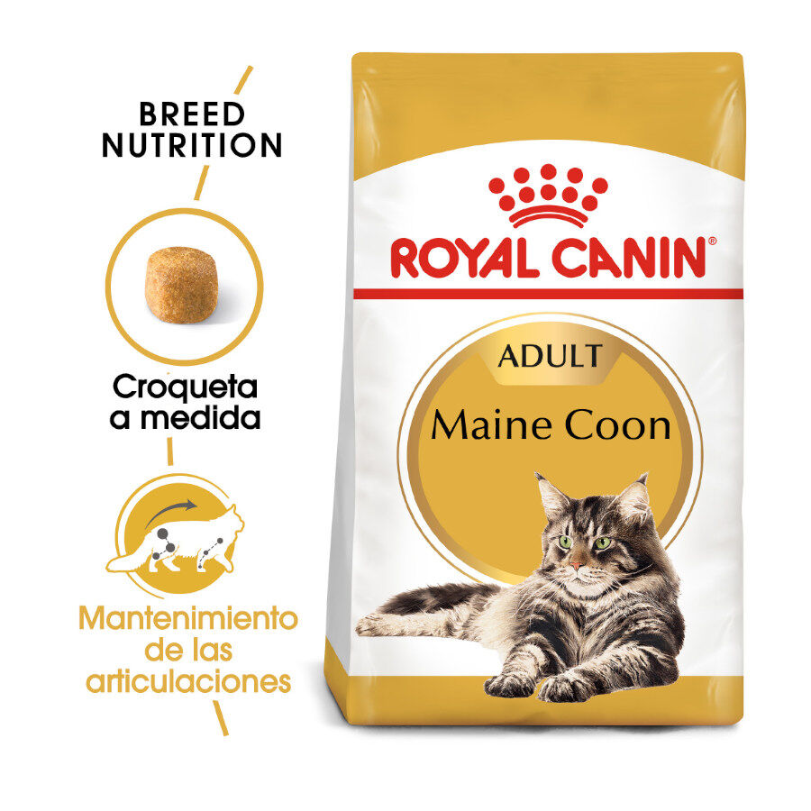10 kg Royal Canin Adult Maine Coon pienso para gatos, , large Imagen numero 2