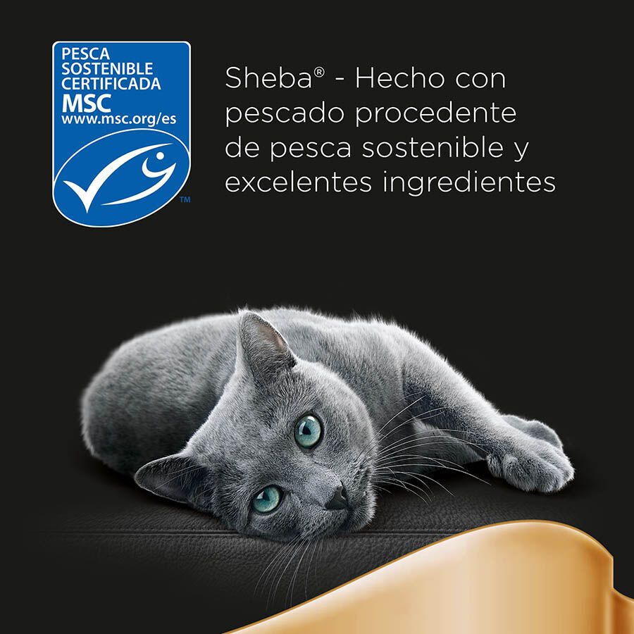 6 sobres x 50 g Sheba D&eacute;lices du Jour en Salsa de at&uacute;n, Bacalao y Pescado Blanco alimento h&uacute;medo para gatos, , large indicador imagen numero 6
