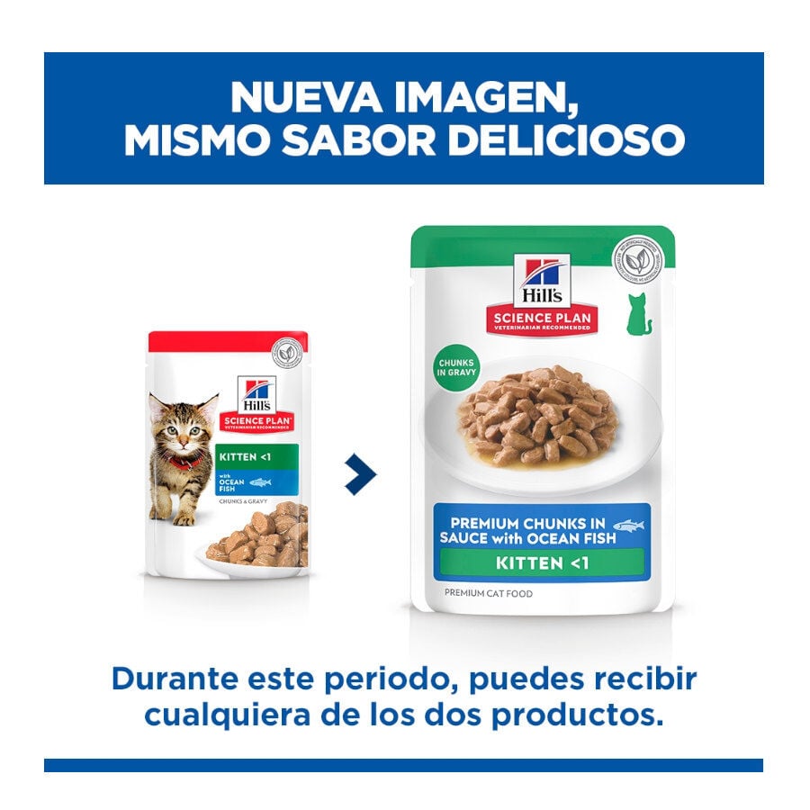 85 g Hill's Science Plan Kitten Pescado Azul sobre para gatos, , large indicador imagen numero 2
