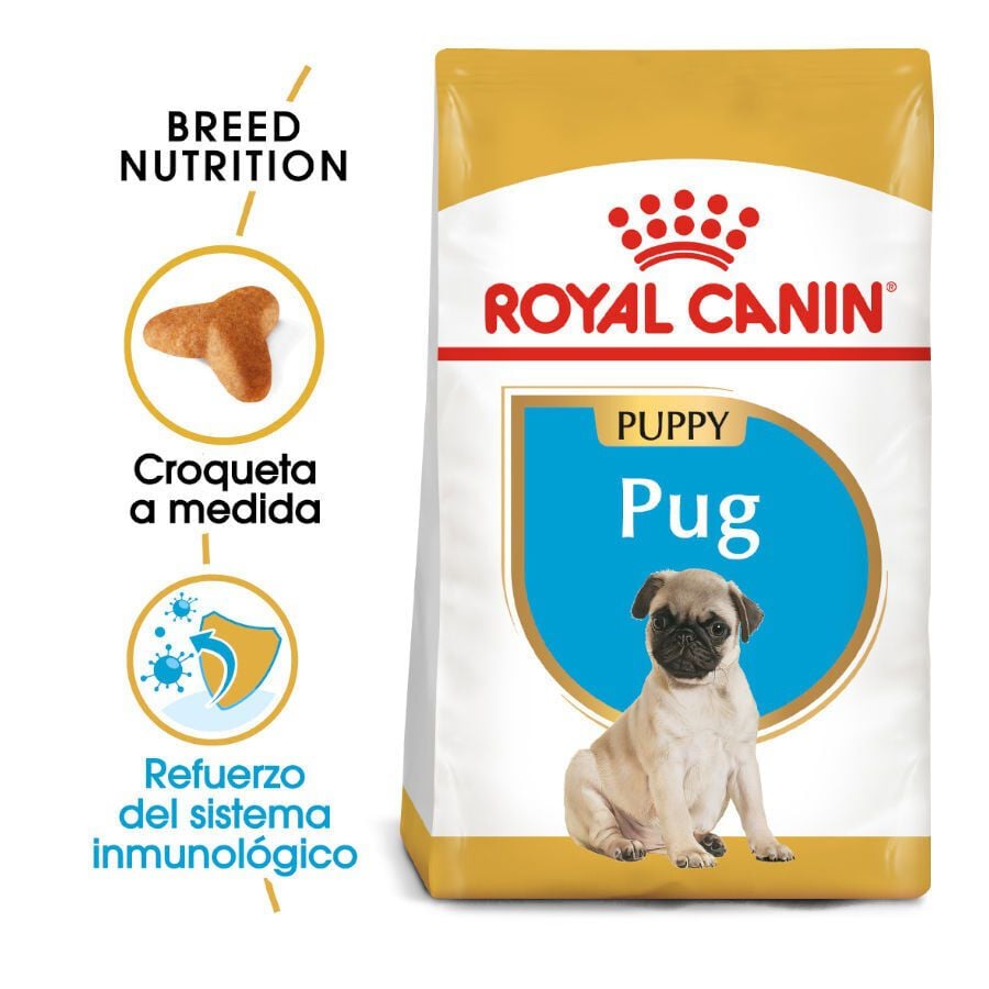 1.5 kg Royal Canin Puppy Pug pienso para perros, , large Imagen numero 2