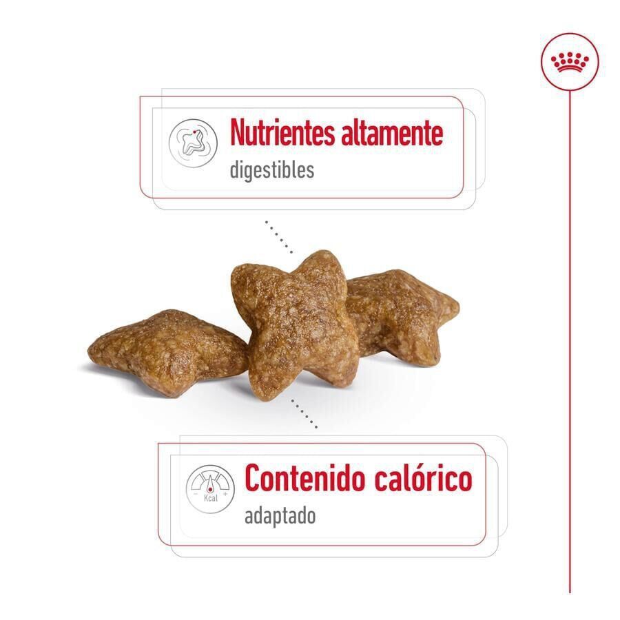 9 kg (8 + 1 kg gr&aacute;tis!) Royal Canin Mini Adult pienso para perros, , large indicador imagen numero 6