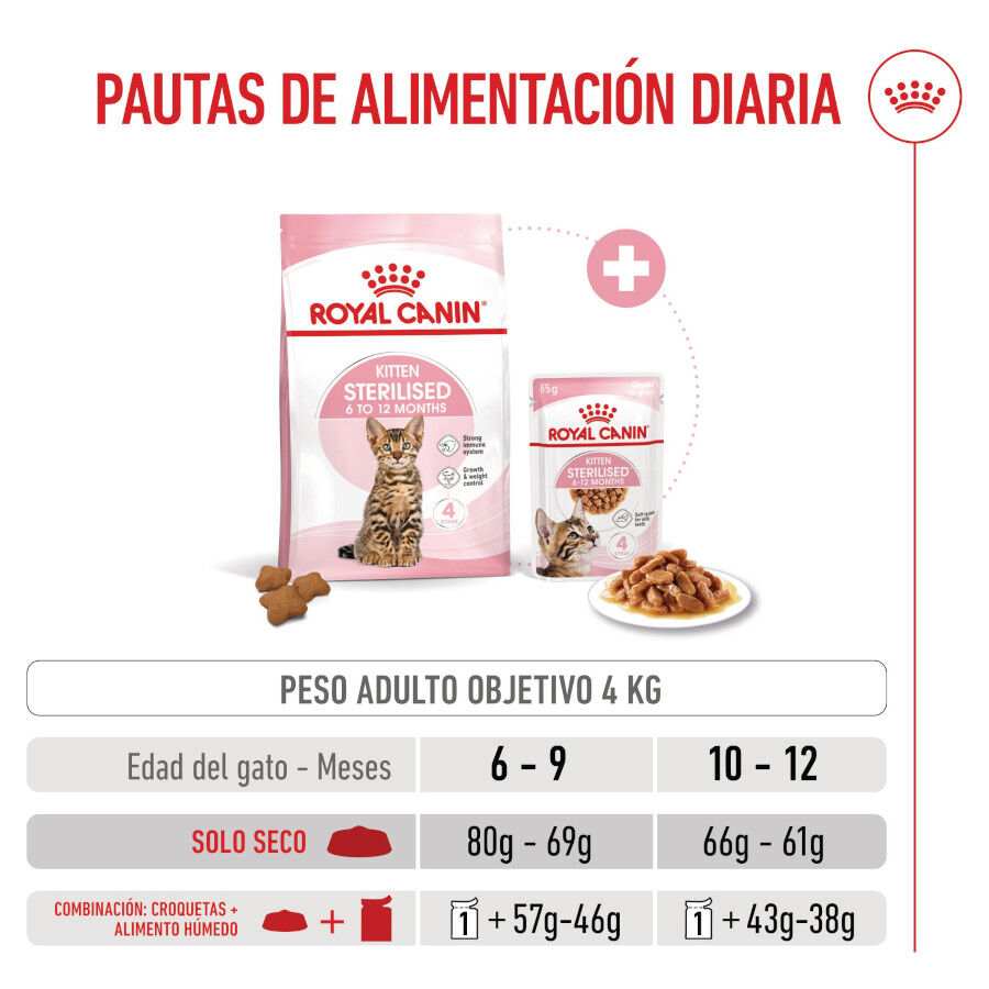 3.5 kg Royal Canin Kitten Sterilised pienso para gatos, , large indicador imagen numero 9