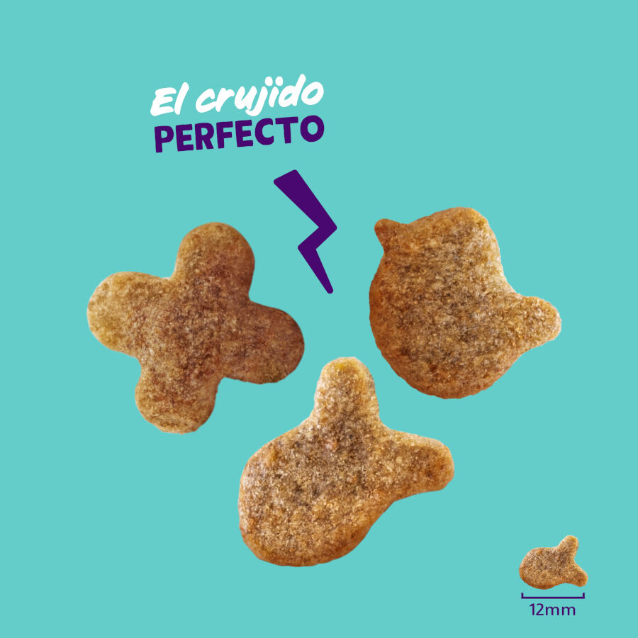 50 g Edgard & Cooper Galletas Crunchies Salmon para gatos, , large indicador imagen numero 3