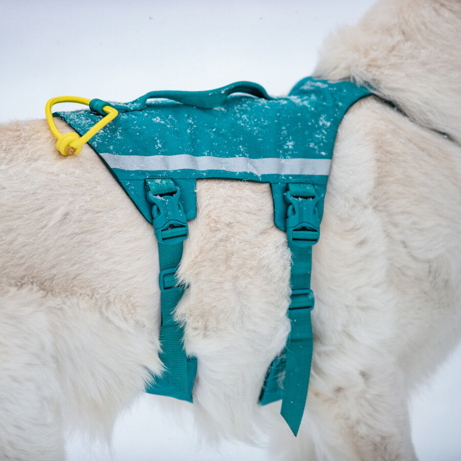 Non-stop Dogwear Arn&eacute;s Largo Azul y Verde para perros, , large indicador imagen numero 3