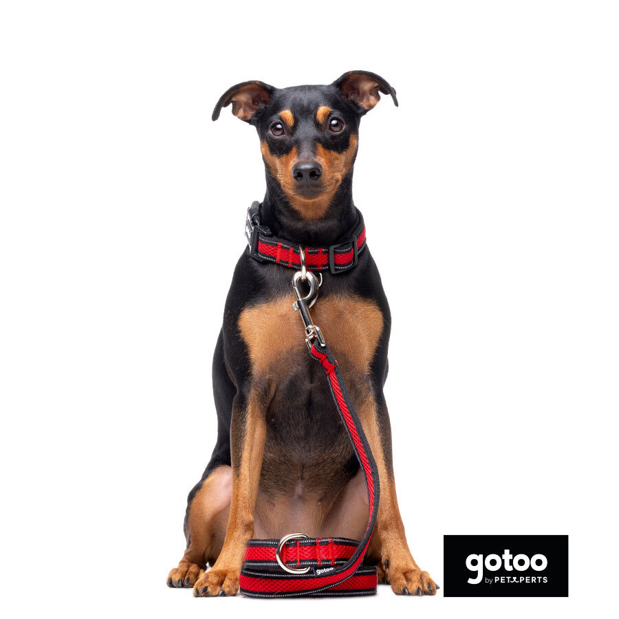 Gotoo Correa reflectante de malla roja para perro