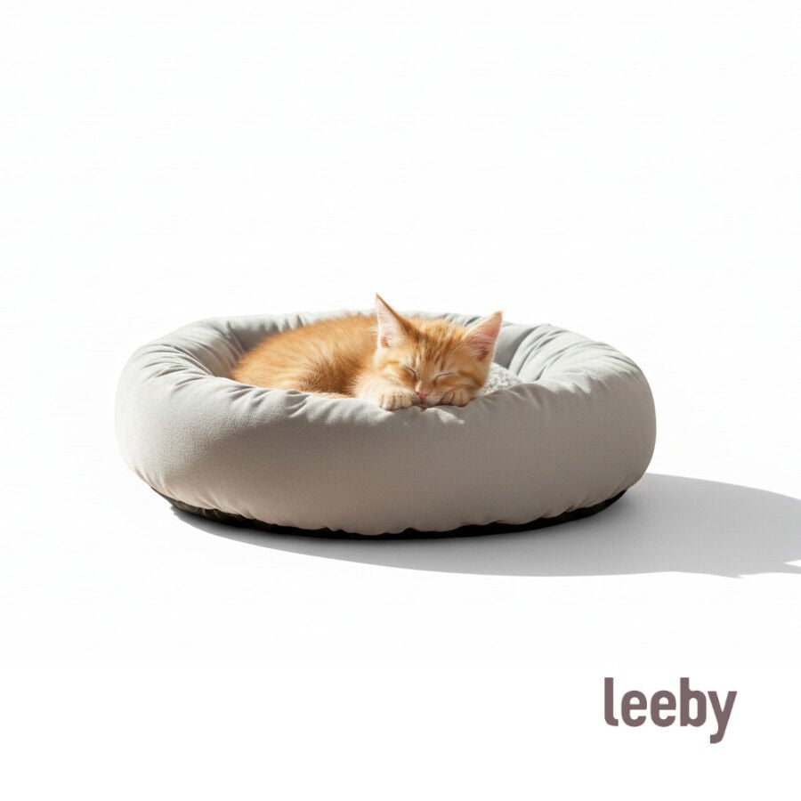 Leeby Cama Donut Gris para gatos
