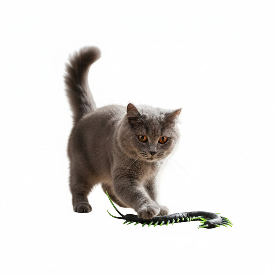 Playology Ciempi&eacute;s de Pl&aacute;stico para gatos, , large Imagen numero 5