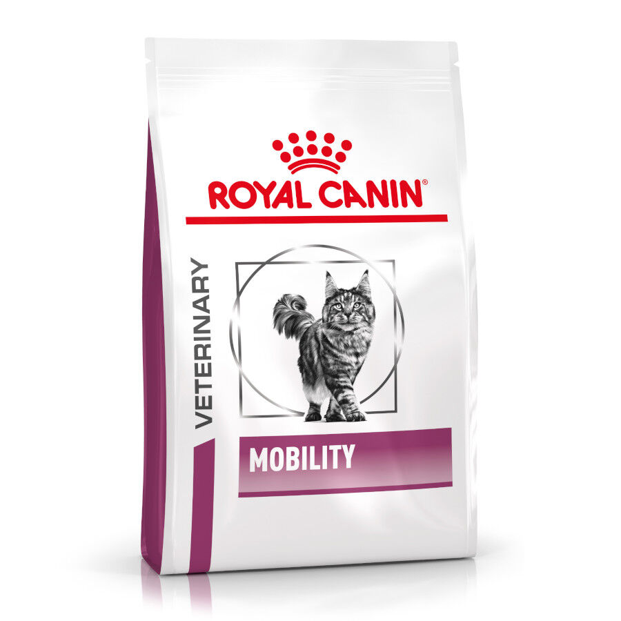 2 kg Royal Canin Veterinary Mobility pienso para gatos, , large Imagen numero 1