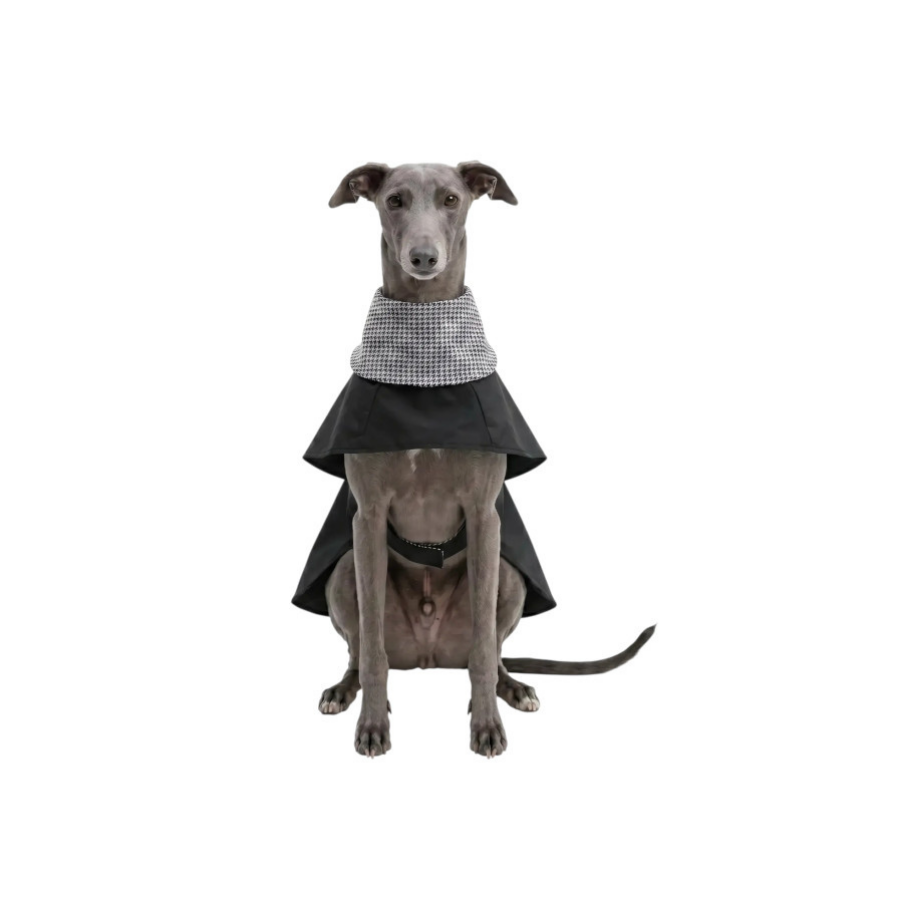 Gotoo Abrigo Gabardina para galgos, , large indicador imagen numero 7