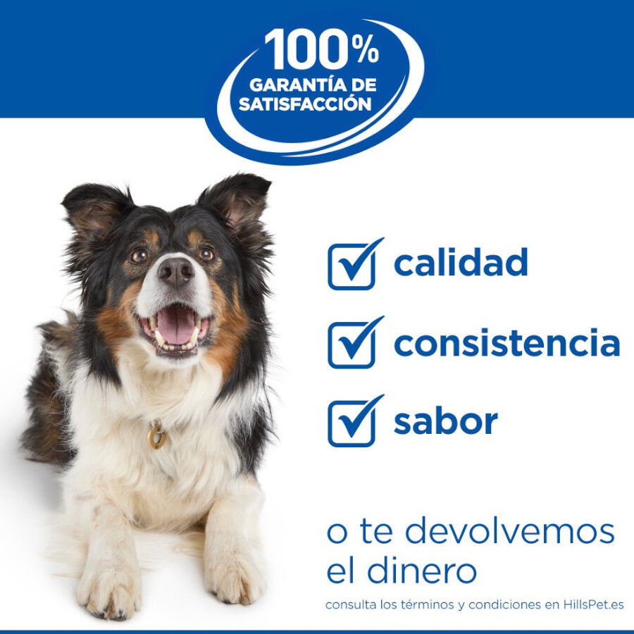 1.5 kg Hill's Science Plan Perfect Digestion Puppy Small y Mini Pollo y Arroz pienso para perros, , large indicador imagen numero 7